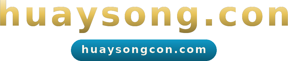 huaysong.con logo